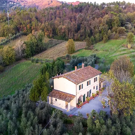 Amore, A Romantic Hilltop In *